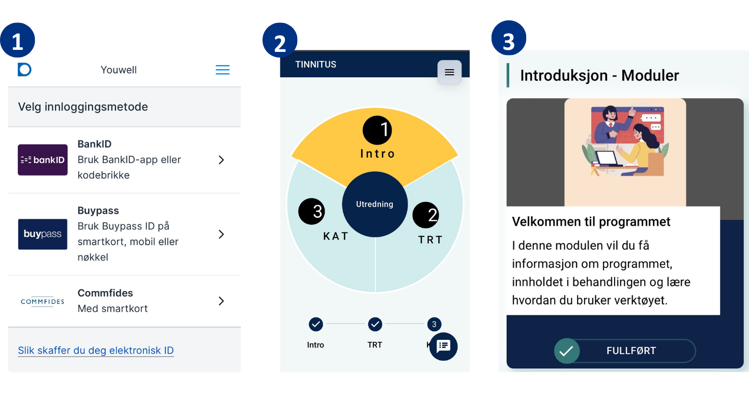 Viser tre trinn for å kome i gang med Tinnituskaka: 1. Logg inn med ID-porten. 2. Du får tilgang til det føreste kakestykket, introduksjon. 3. Skroll ned på sida og sjå introduksjonsvideoen.