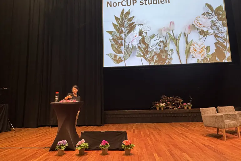 En person som står ved en talerstol