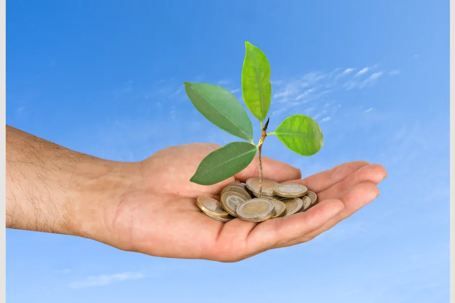 En hånd som holder en liten plante med mynter og en frøplante