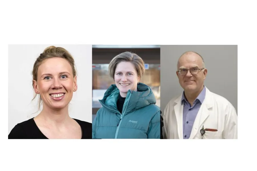 En gruppe mennesker som smiler