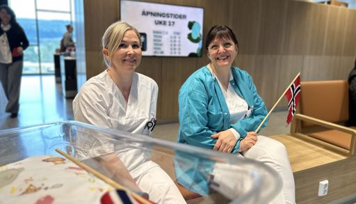 Kvinner som sitter på en benk