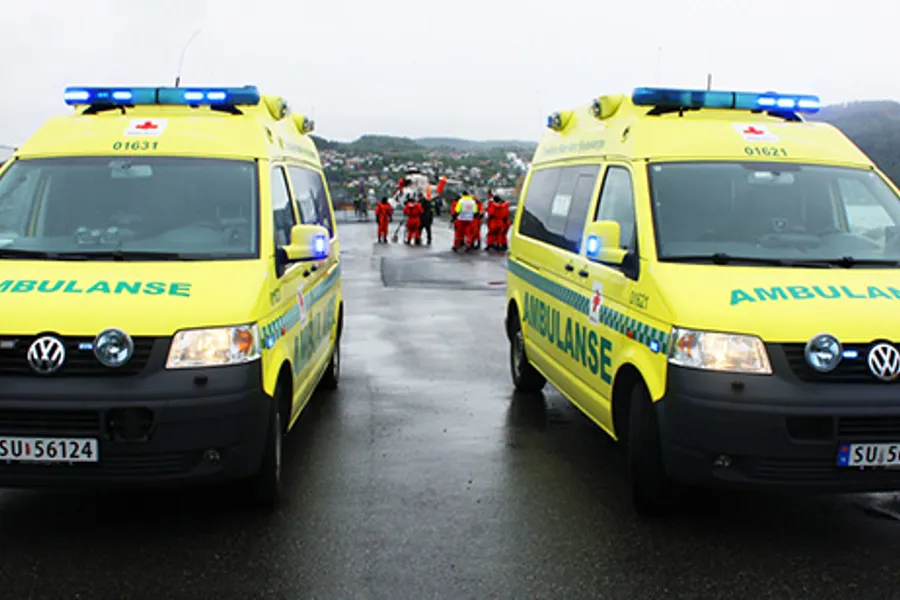 Et par gule varebiler