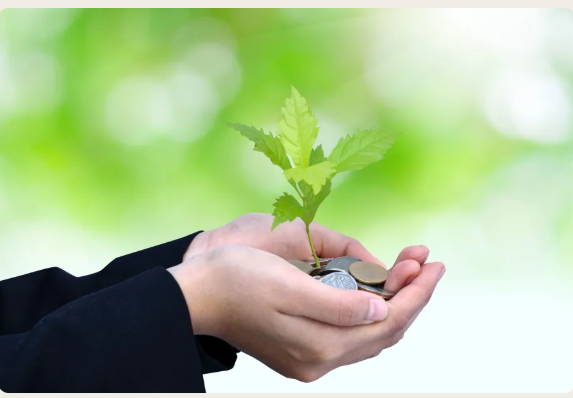 En person som holder en plante