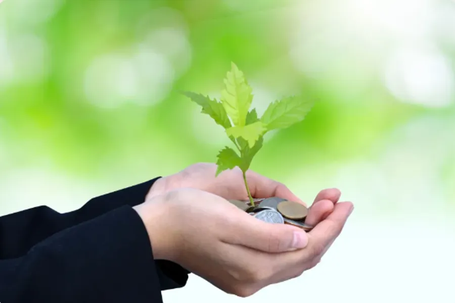 En person som holder en plante