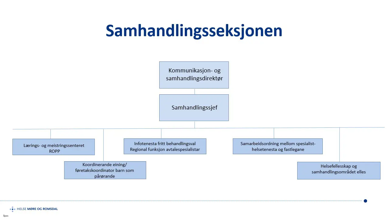 Organisasjonskart