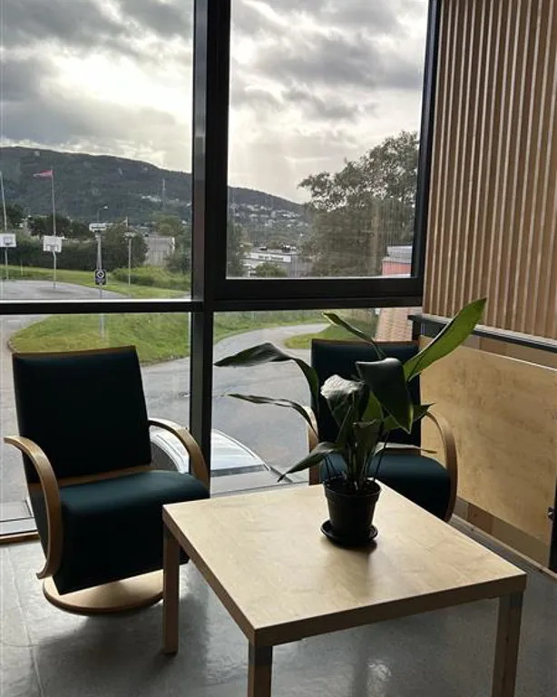 Et bord med en plante på ved et vindu med utsikt over en by