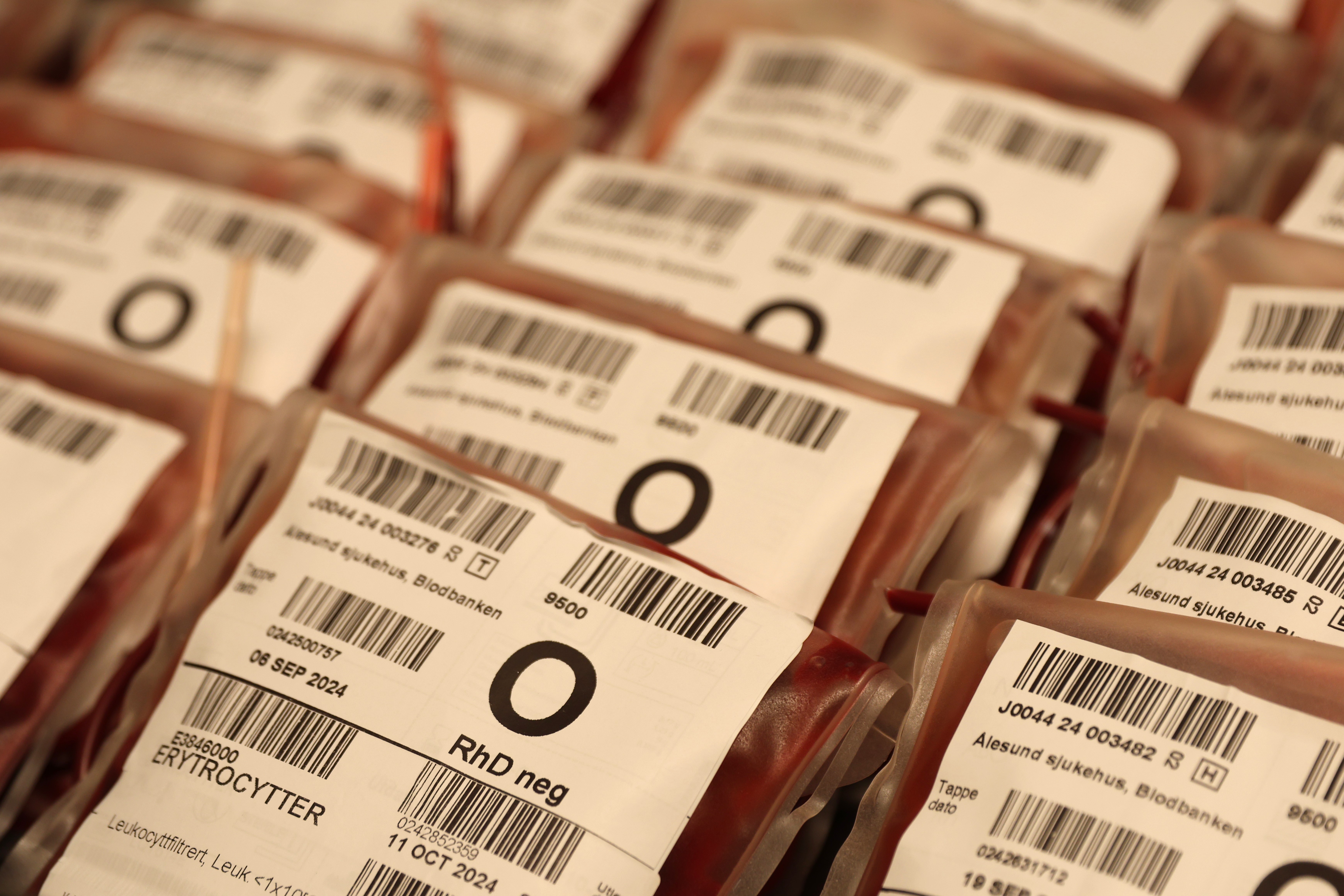 Nærbilde av blodposer