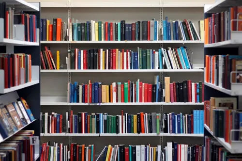 Fagbibliotek