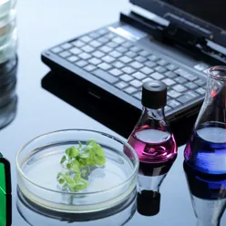 Illustrasjonsbilde laboratorie. Foto: Colourbox.com