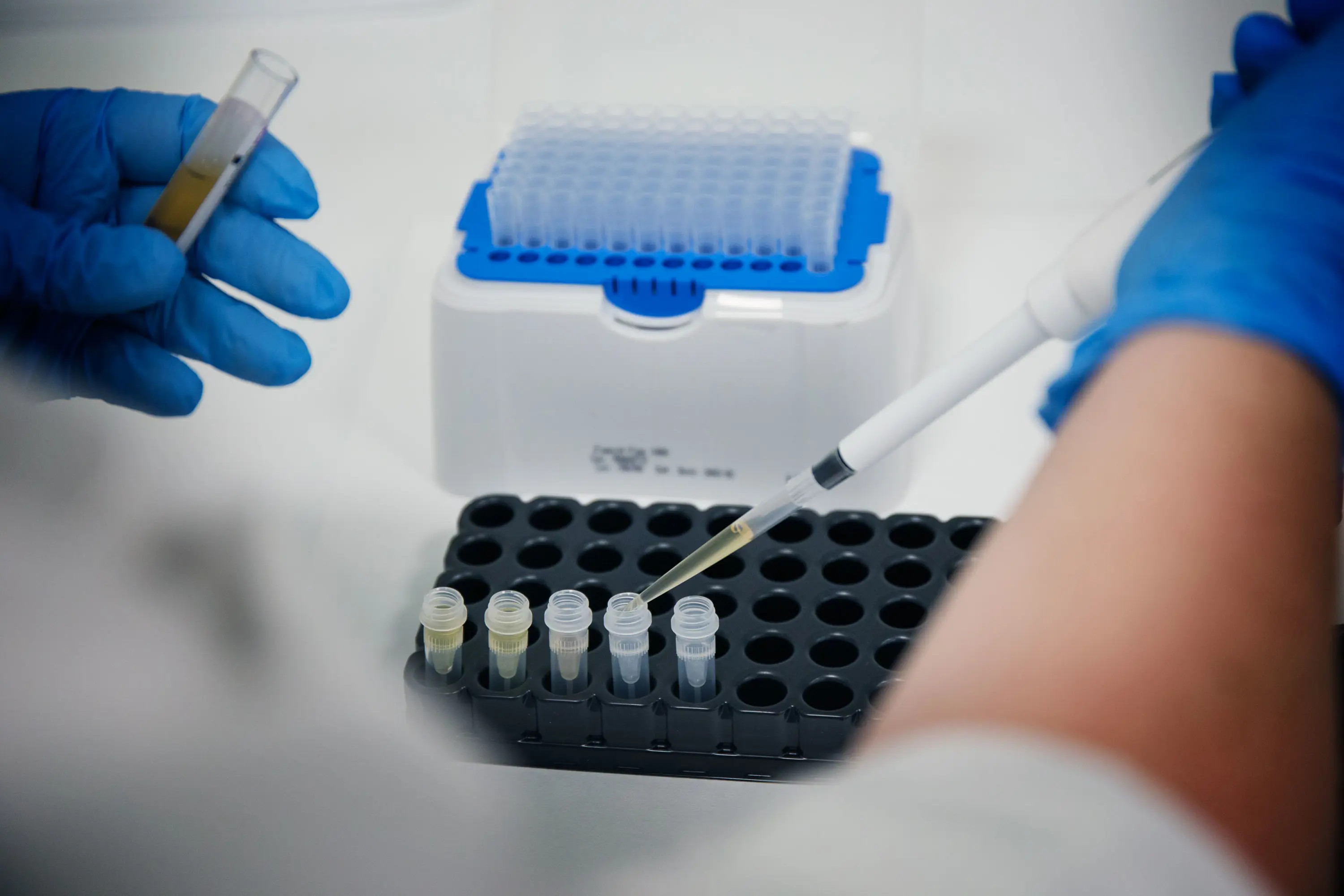 Frå laben i Ålesund.