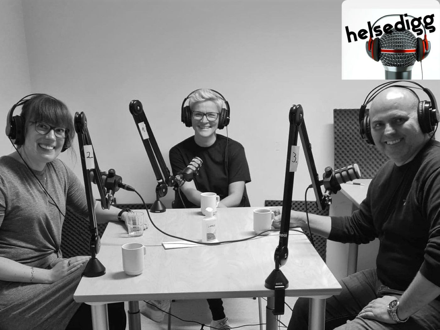 Deltakarne rundt bordet i studio.