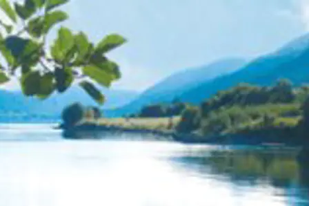 En innsjø omgitt av trær