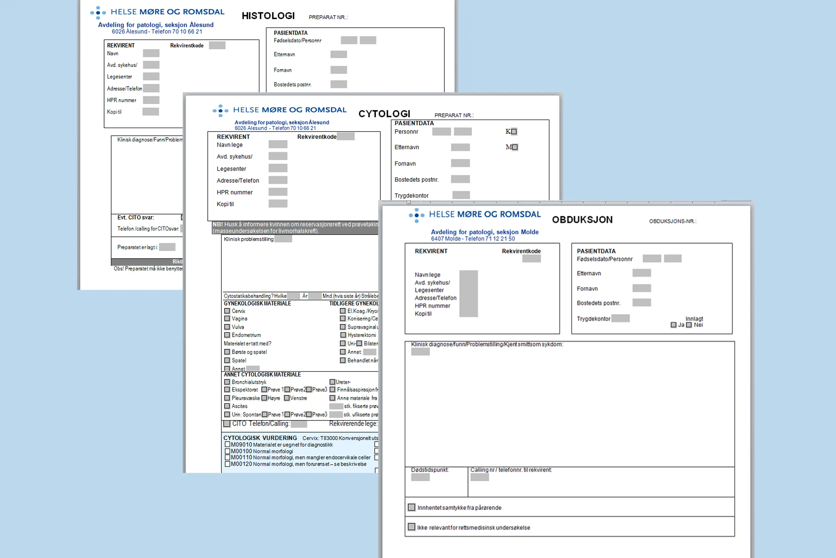 Skjermbilde av remissar for patologi