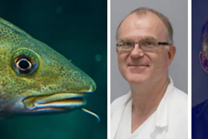 Helseeffektar av marine råstoff.jpg