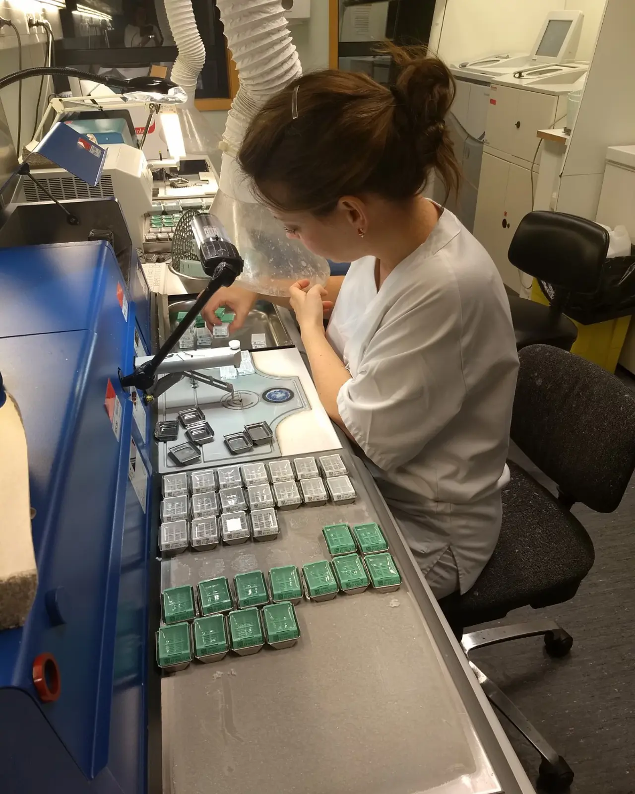 Illustrasjon: Bioingeniør som støper blokker