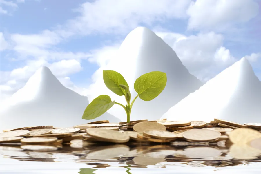 En liten øy med en plante som vokser ut av den