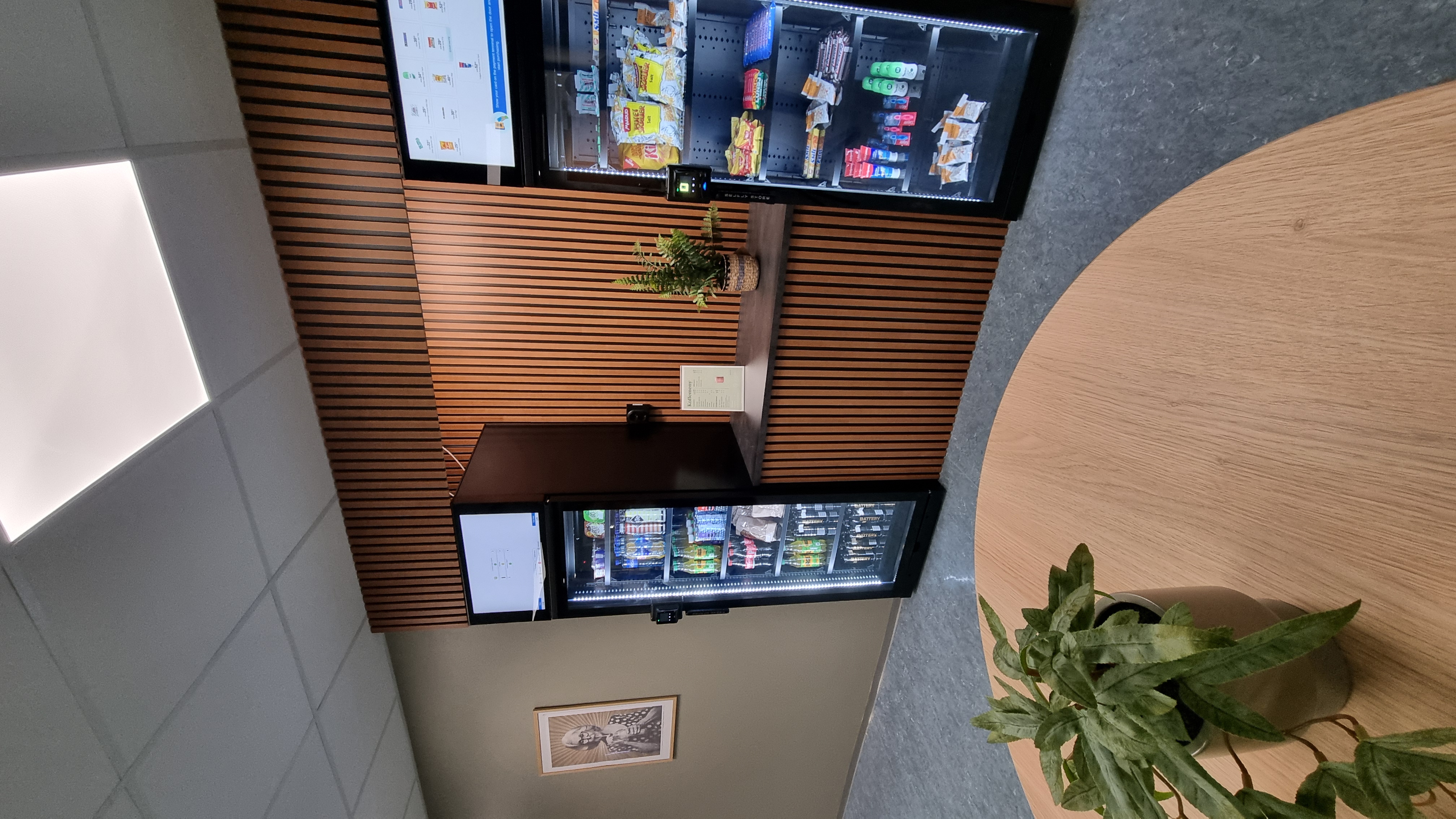 Et rom med bord og TV og plante