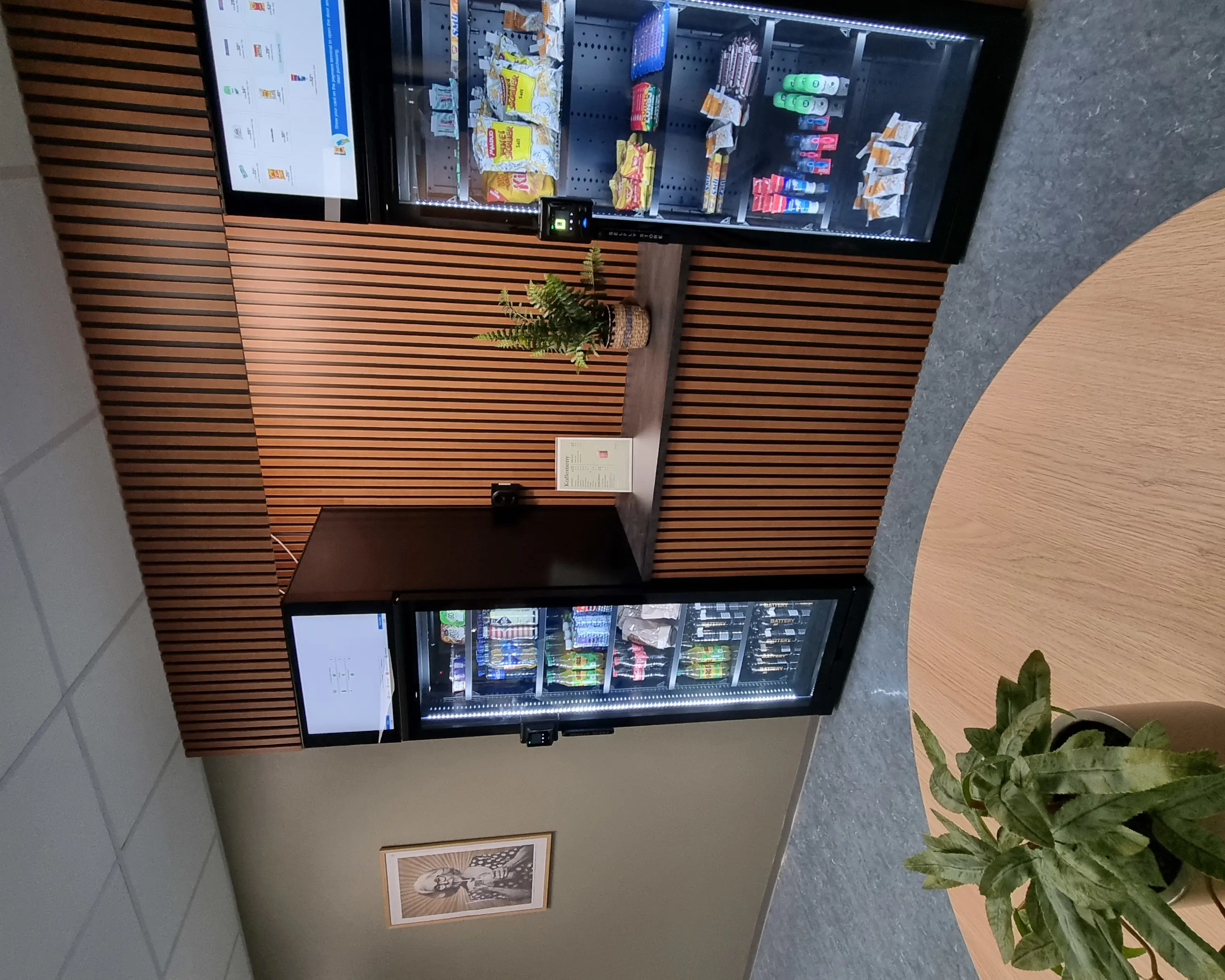 Et rom med bord og TV og plante
