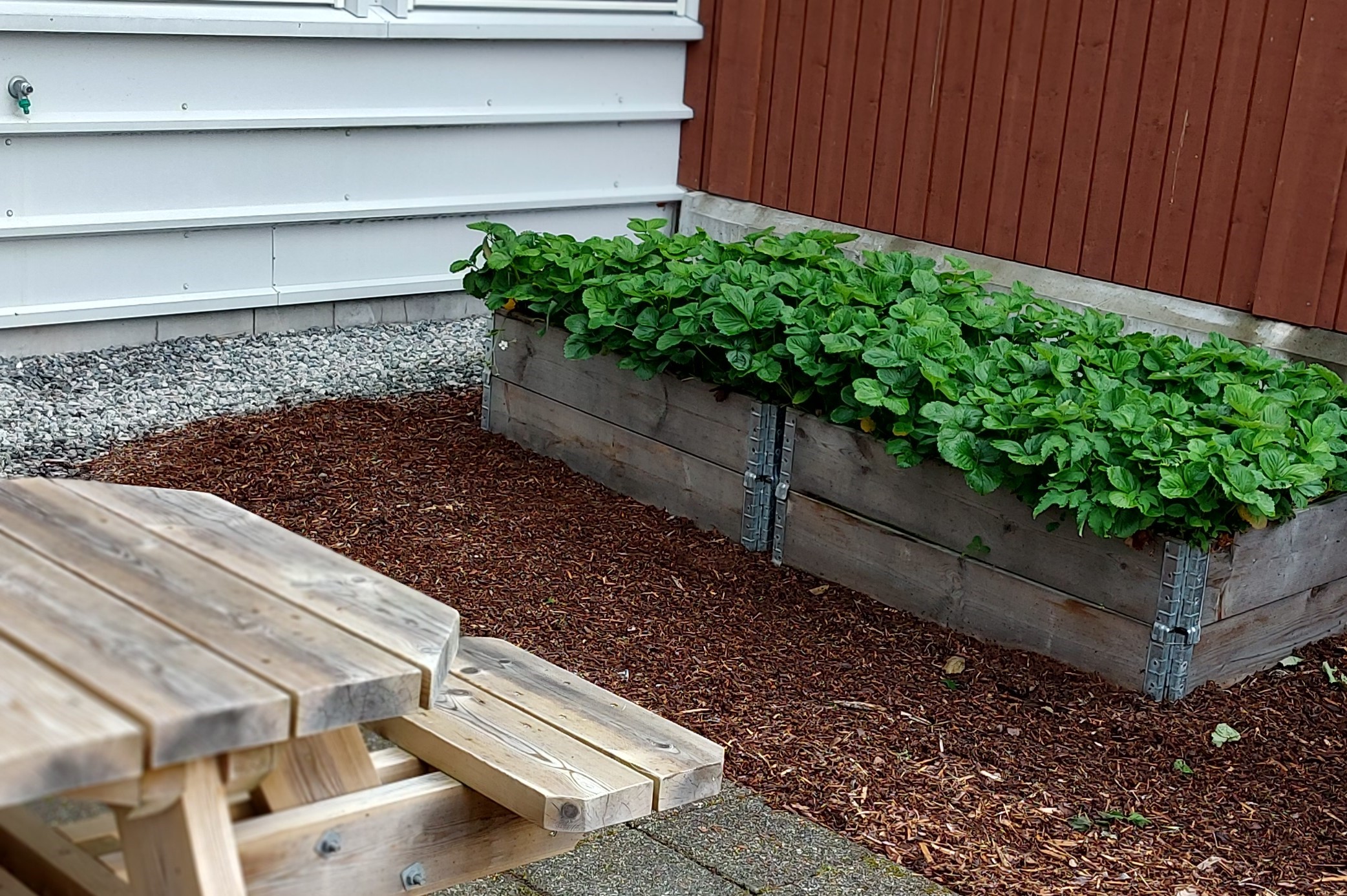 To kasser med grønne planter ute i fellesareal.