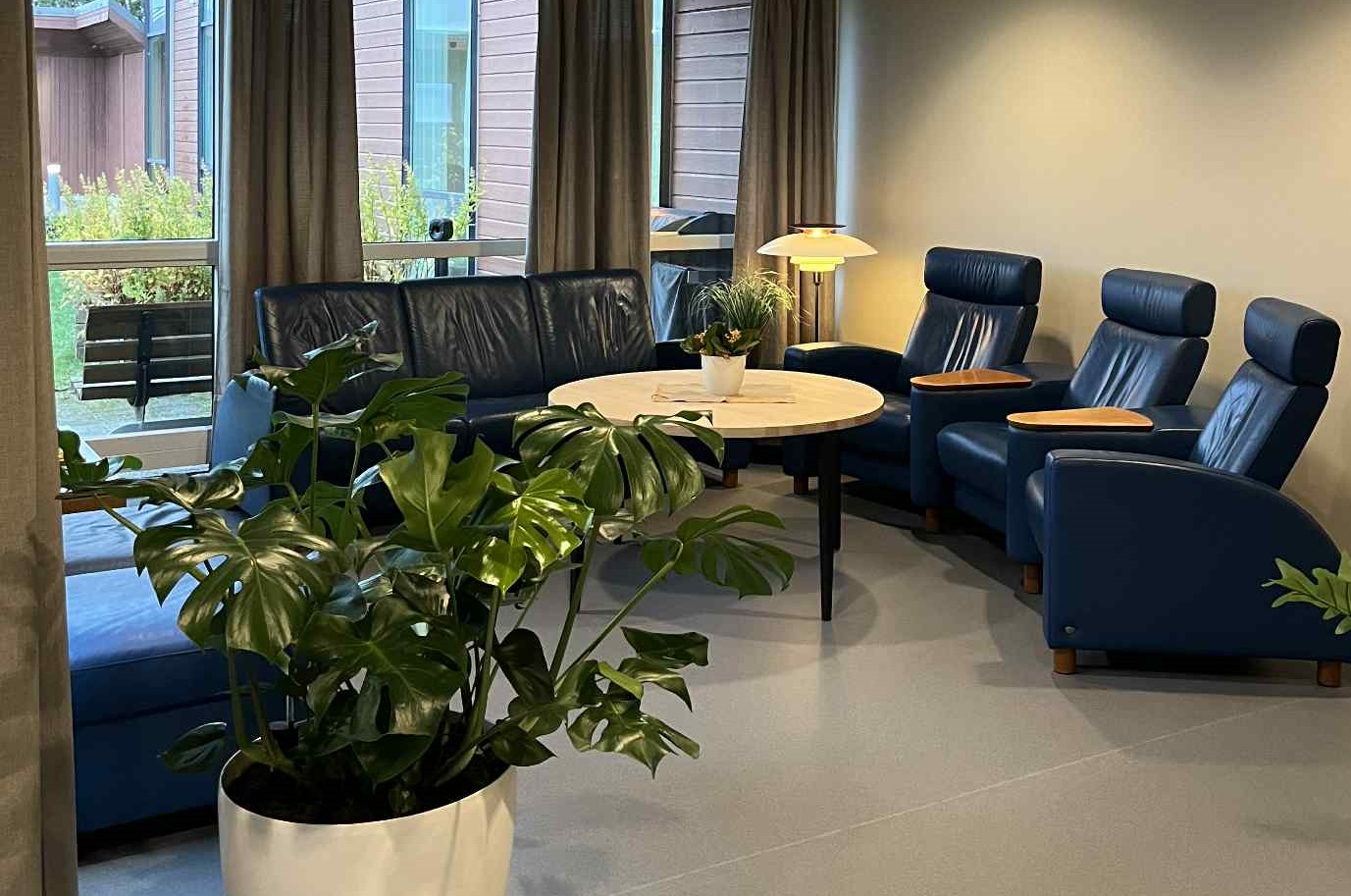 Fellesareal med et bord, stoler og en grønn plante