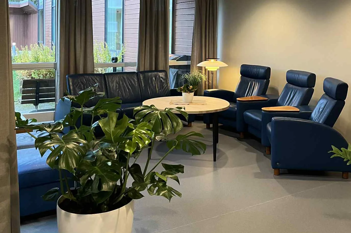 Fellesareal med et bord, stoler og en grønn plante