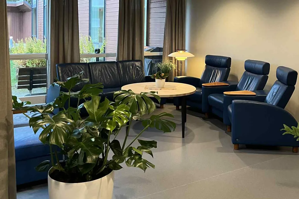 Fellesareal med et bord, stoler og en grønn plante