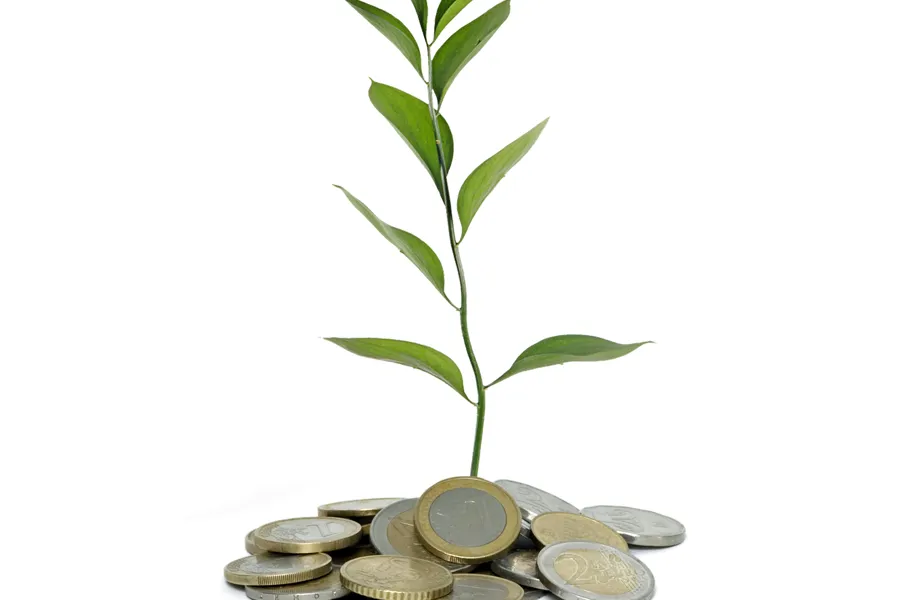 En plante som vokser ut av mynter