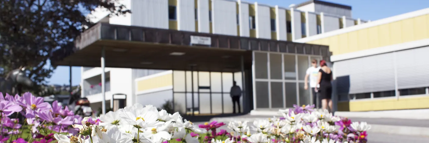 Blomar i forgrunn av Ålesund sjukehus