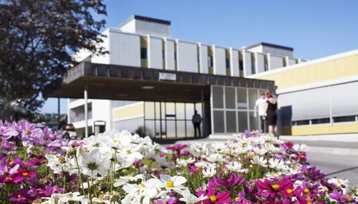 Blomar i forgrunn av Ålesund sjukehus